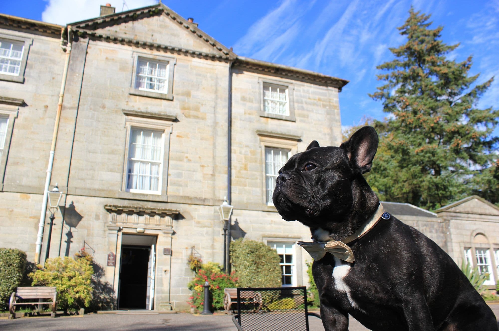 Strathaven Hotel Exterior foto